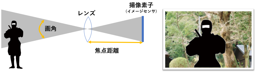 画角が小さくなると、写真に納まる範囲が狭くなり被写体が大きく写ることを表現した図