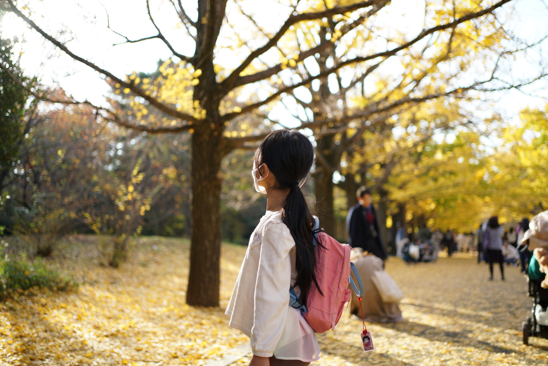 FE 35mm F1.8(SEL35F18F)でイチョウと子供を撮影した作例